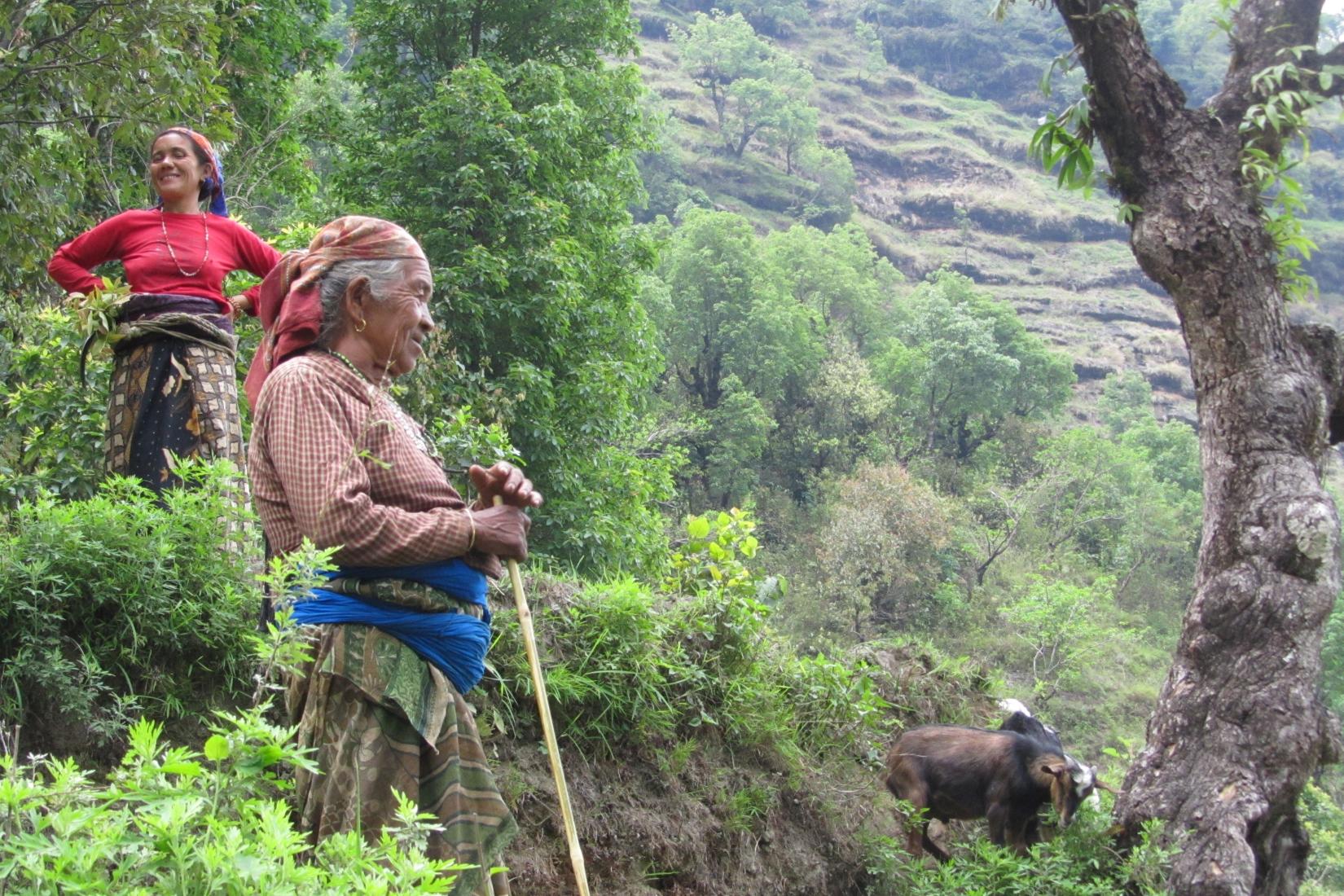 A woman looks down the valley