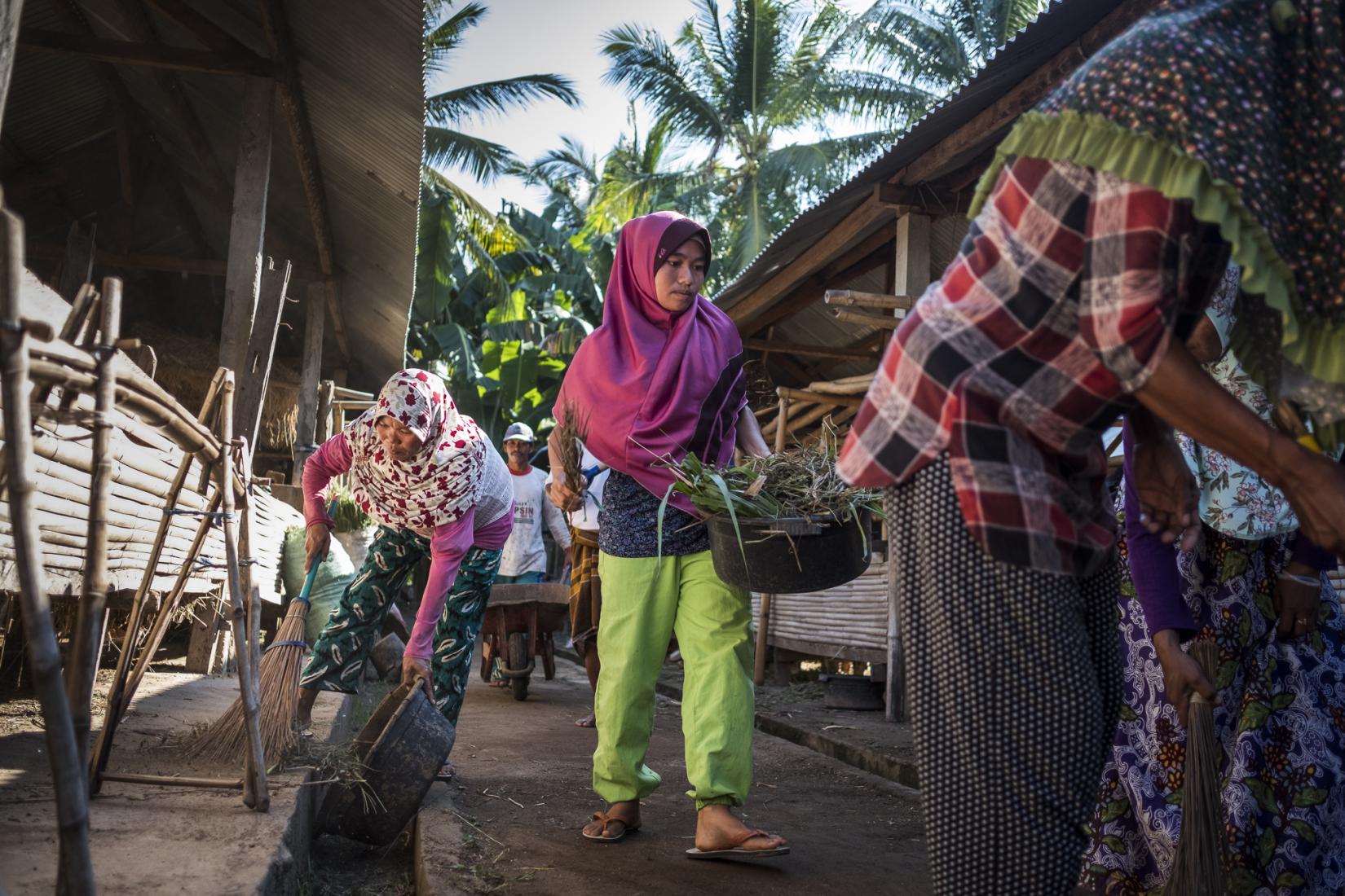 Sismayanti (centre) and other members of the cattle group in Karange Kendal Hamlet work together to clean up around the communal cattle shed.