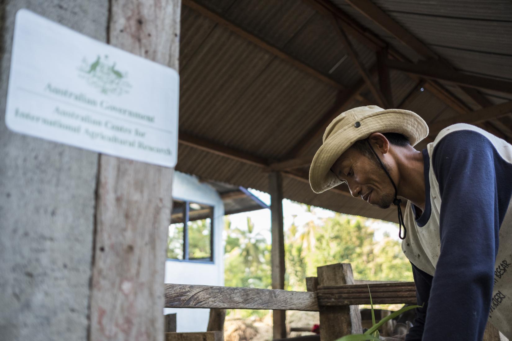 Pak Murdah is president of the cattle association and was one of the first farmers in the village to become involved in the ACIAR project.