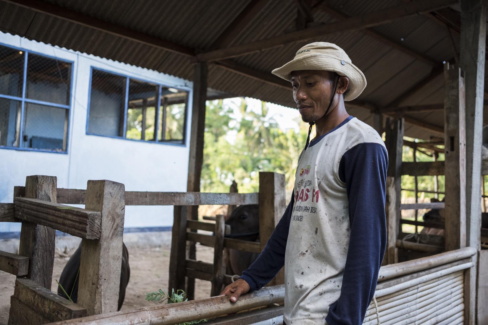 Murdah "we used to feed cattle unregularly and carelessly, the we didn't know when it can breed." Photo: Conor Ashleigh/ACIAR.