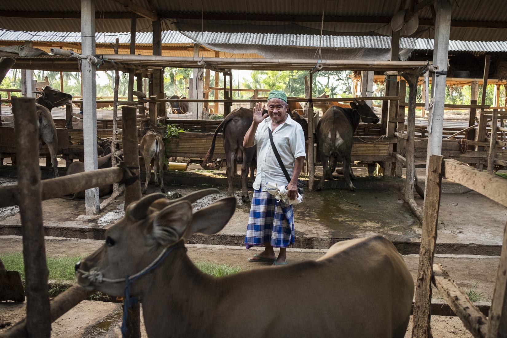 ACIAR delivered this cattle research project with great success. The outcomes have been transformative for many of the farmers.