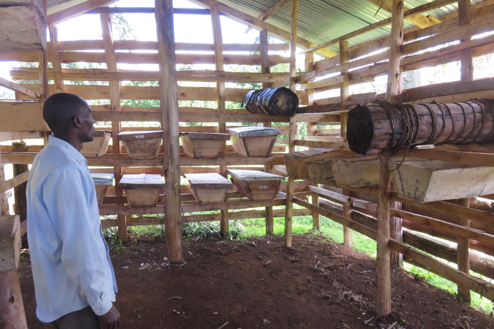 A bee hive house built by project participants enabling beekeepers to centralise their honey-production efforts.