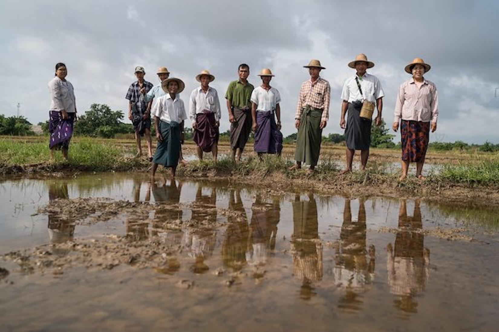 Farmers and MyRice participants stand for a portrait. Image: ACIAR/Conor Ashleigh