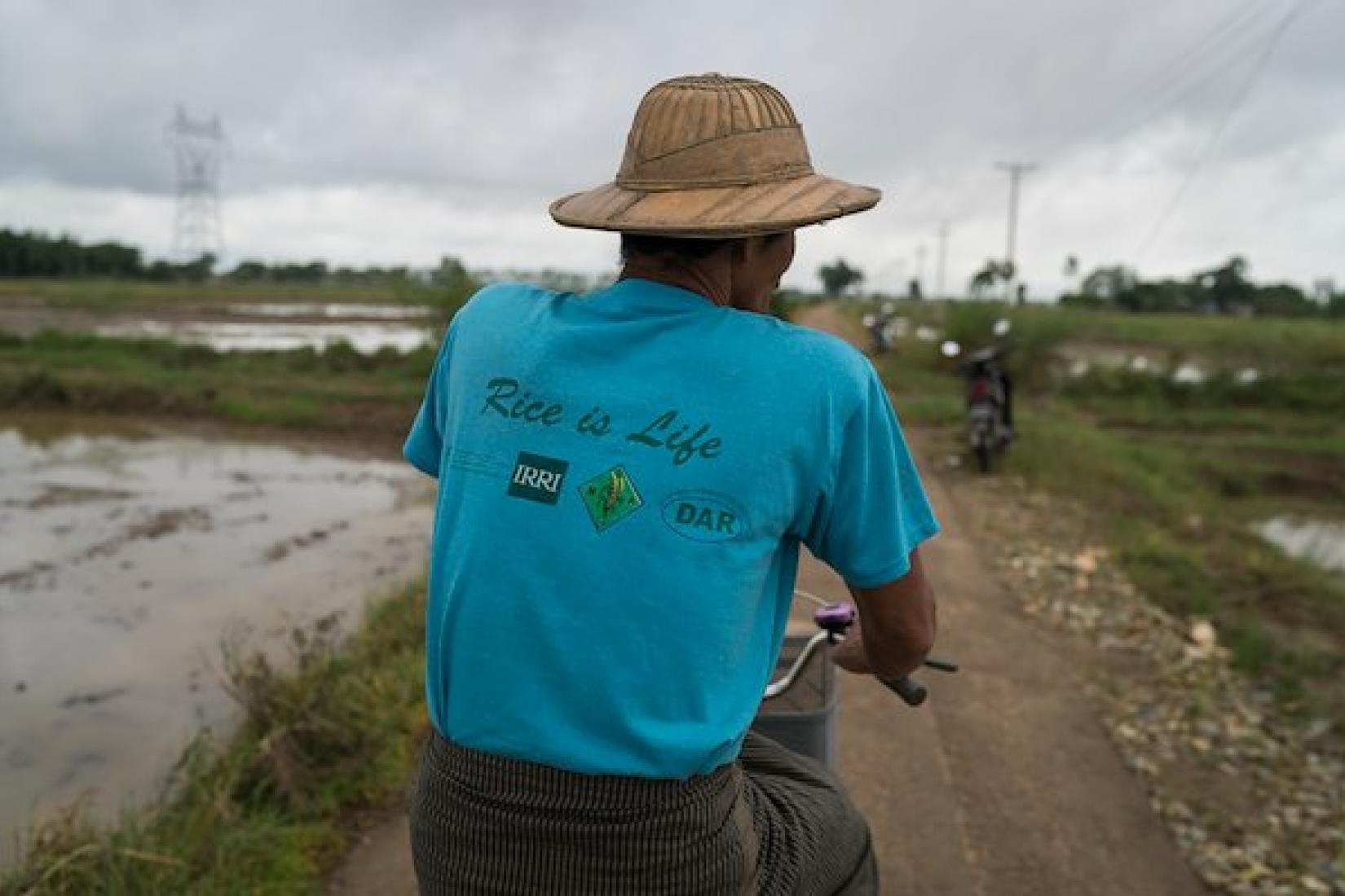 A farmer wears a MyRice project t shirt. Image: ACIAR/Conor Ashleigh