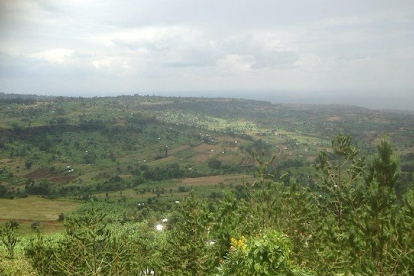 Slopes of Mt Elgon below Kapchorwa note intensive agroforestry in foreground. Image: Jason Alexandra