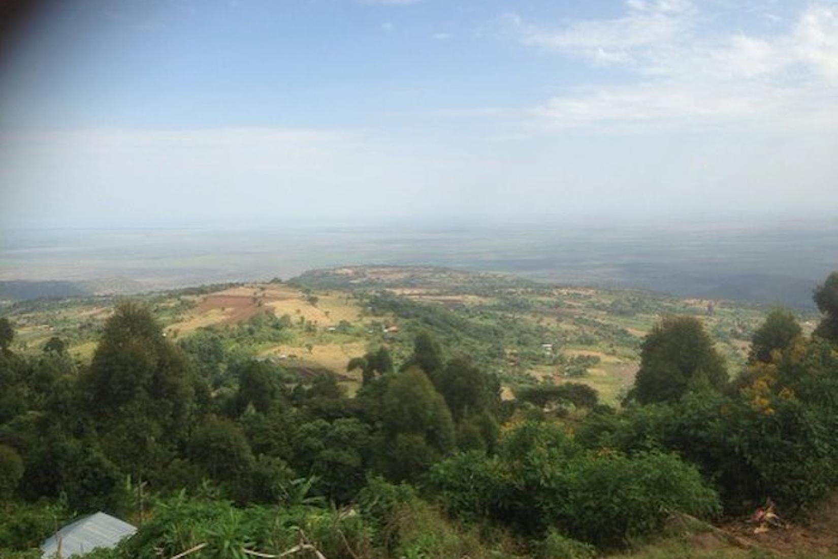 Views of the intensively farms slopes of Mt Elgon below Kapchorwa - a tropical highland region of intensive agriculture. Image: Jason Alexandra