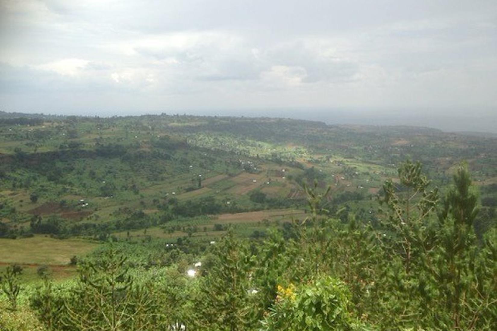 Views of the intensively farms slopes of Mt Elgon below Kapchorwa - a tropical highland region of intensive agriculture. Image: Jason Alexandra