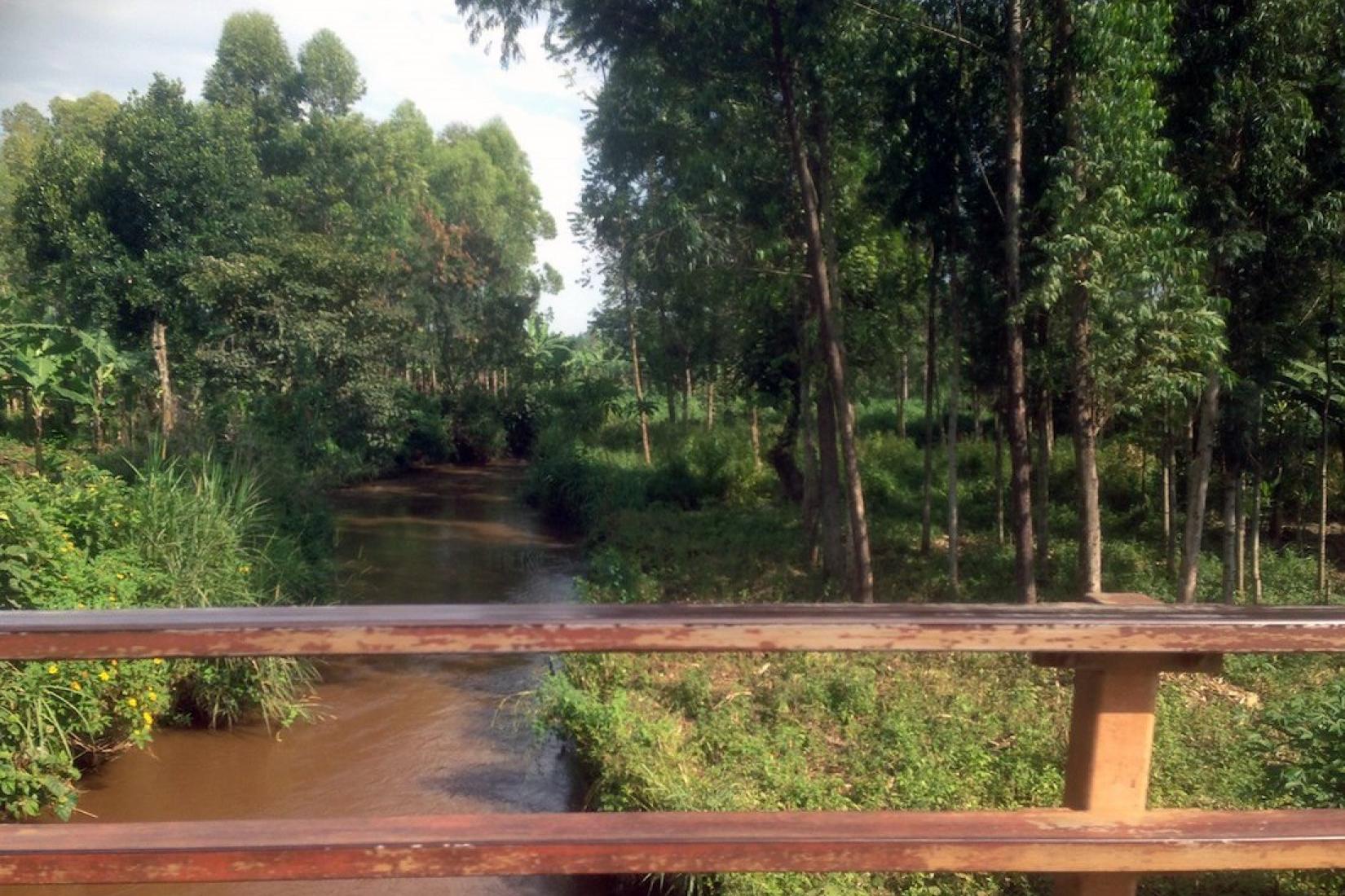 Nile tributary flowing ‘mud’ at Sironko district Uganda. Image: Jason Alexandra