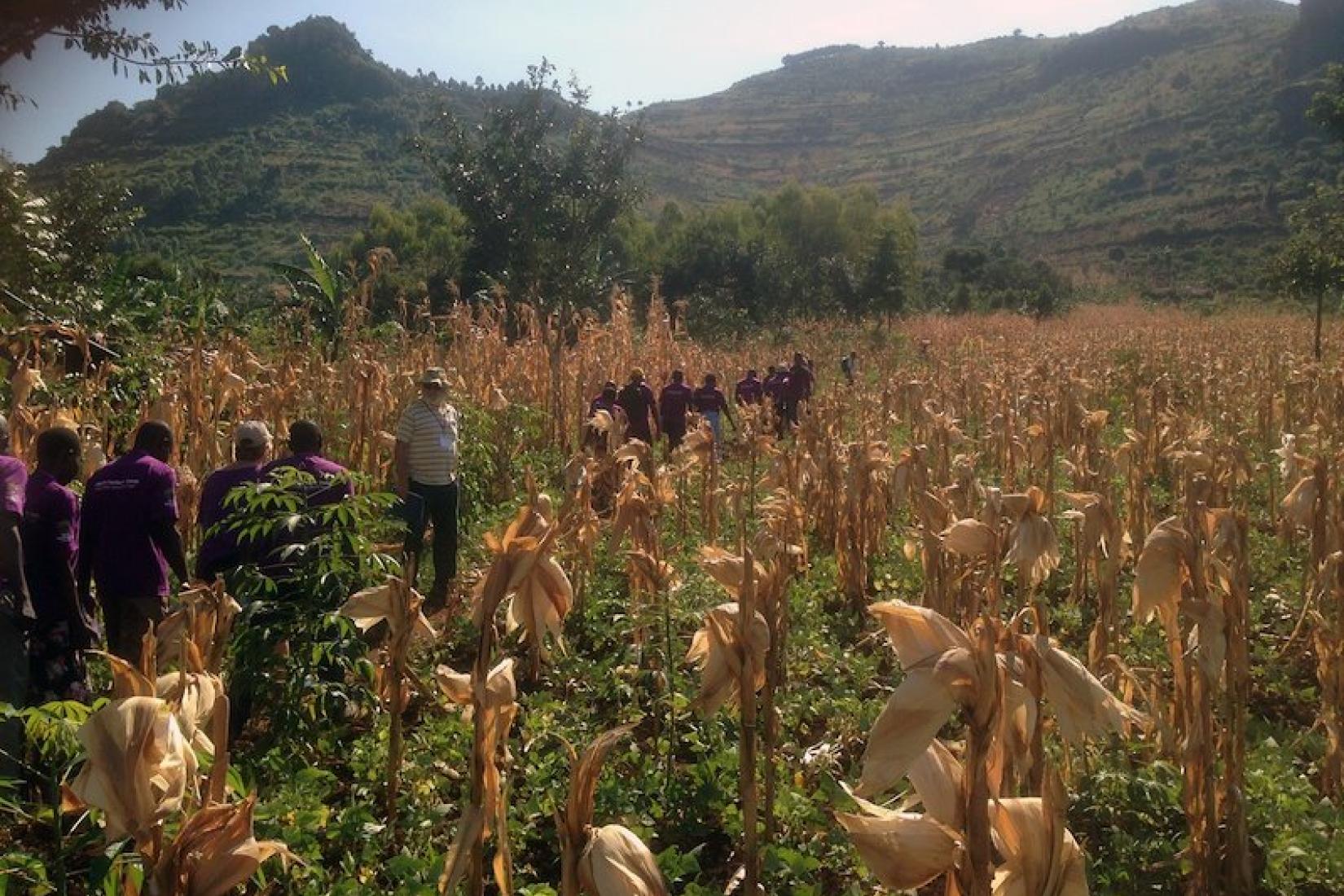 Landcare teaching farmers in a field