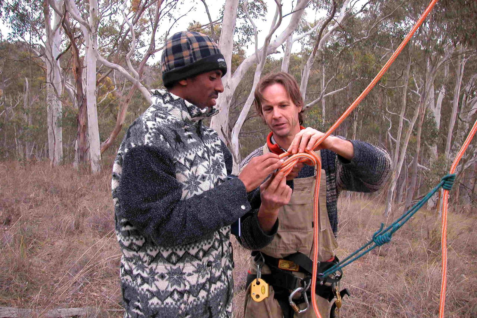 Belachew Gizachew of the Ethiopian Forestry Research Centre receives training in safe tree climbing techniques for seed collection from CSIRO’s John Larmour during an attachment in Australia under the SAT program. Photo: Kron Aken