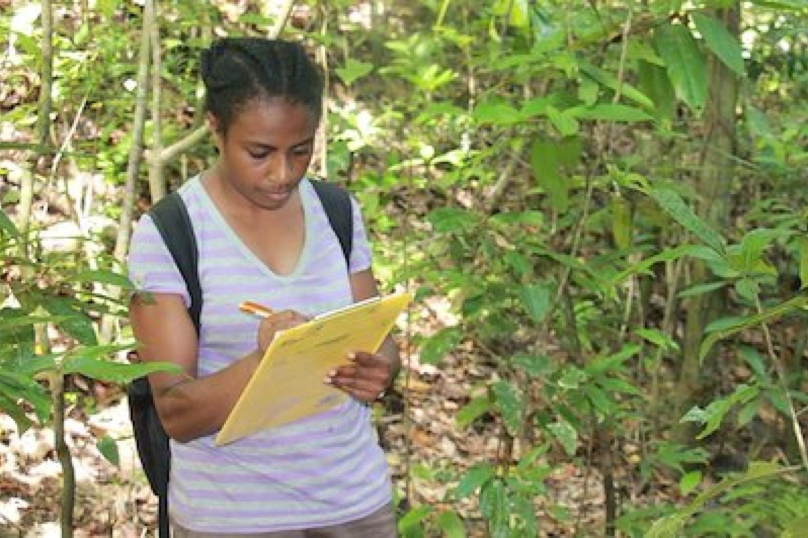 Emma completing her research analysis in the eastern highland of PNG.