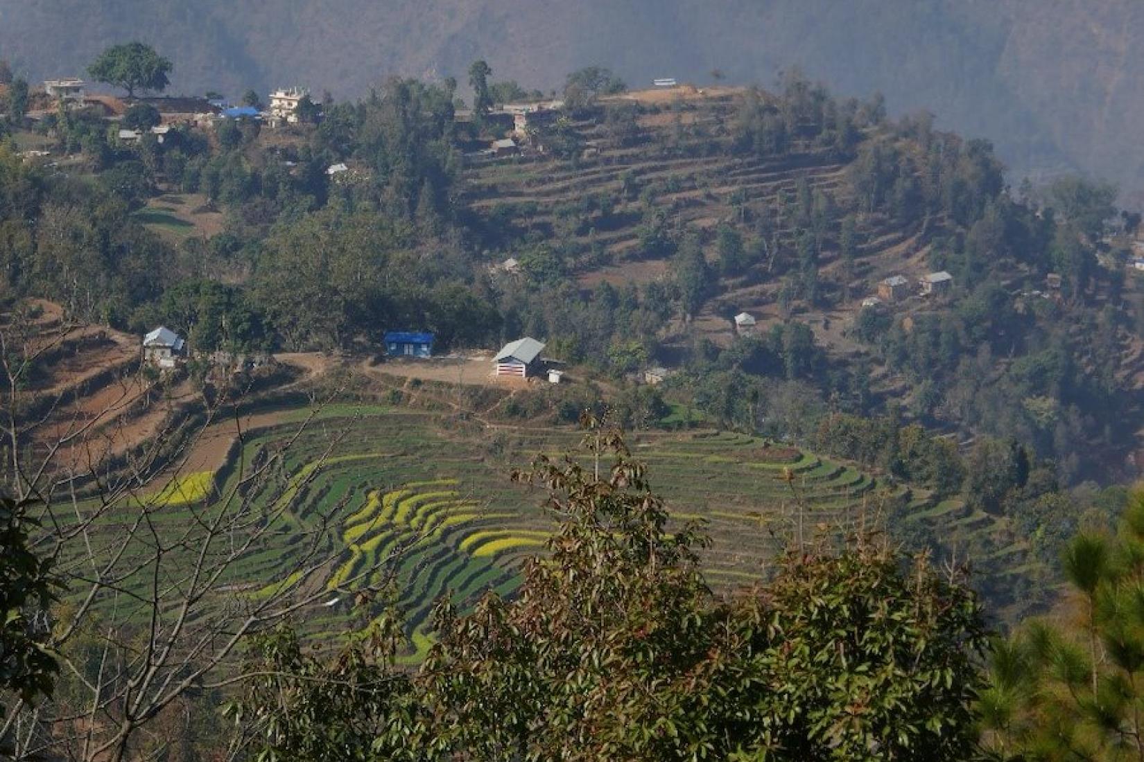 Crops on the arable terraced land include wheat, mustard and millet, and along the river flats (right pic) cabbage, potato, cauliflower and fruit trees.