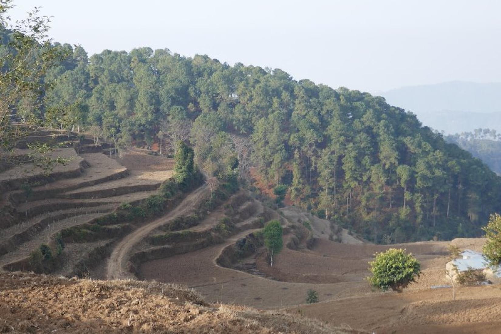 Rural Nepal