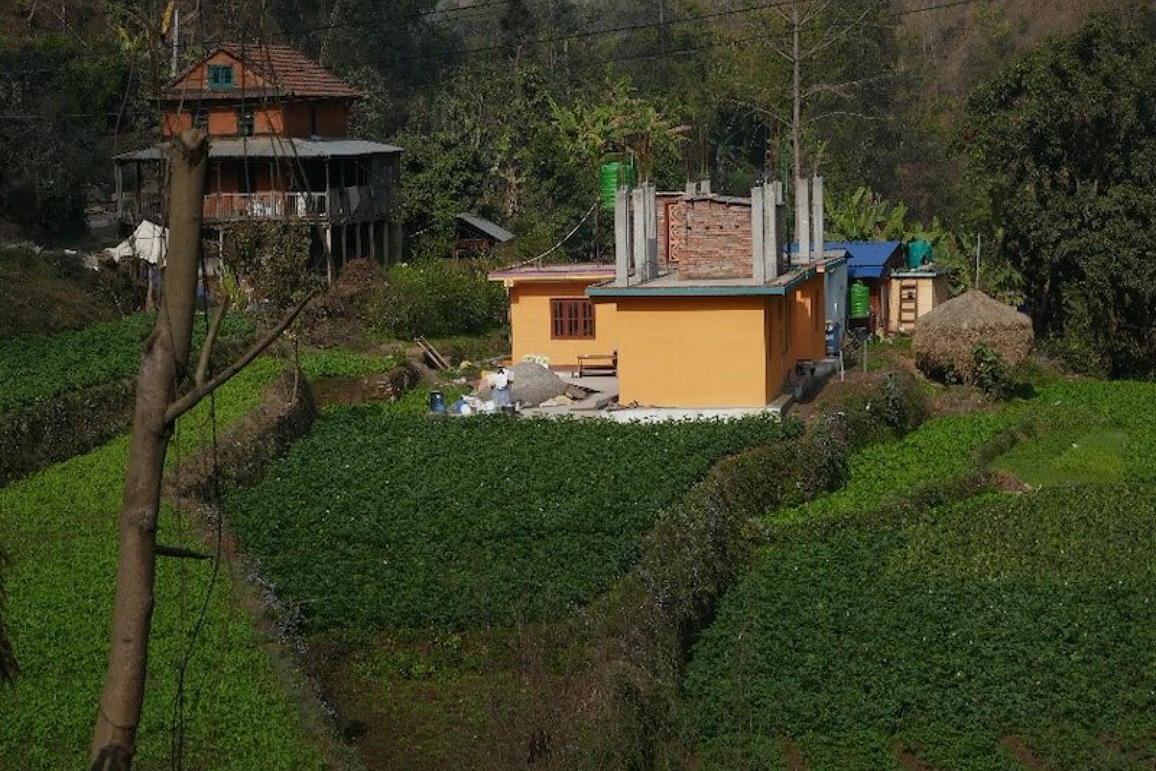 The 2015 earthquake severely damaged many towns, villages and houses in the Middle Hills of Nepal, particularly along the ridge lines. Rebuilding is a slow process. Crops on the arable terraced land include wheat, mustard and millet, and along the river flats (right pic) cabbage, potato, cauliflower and fruit trees.