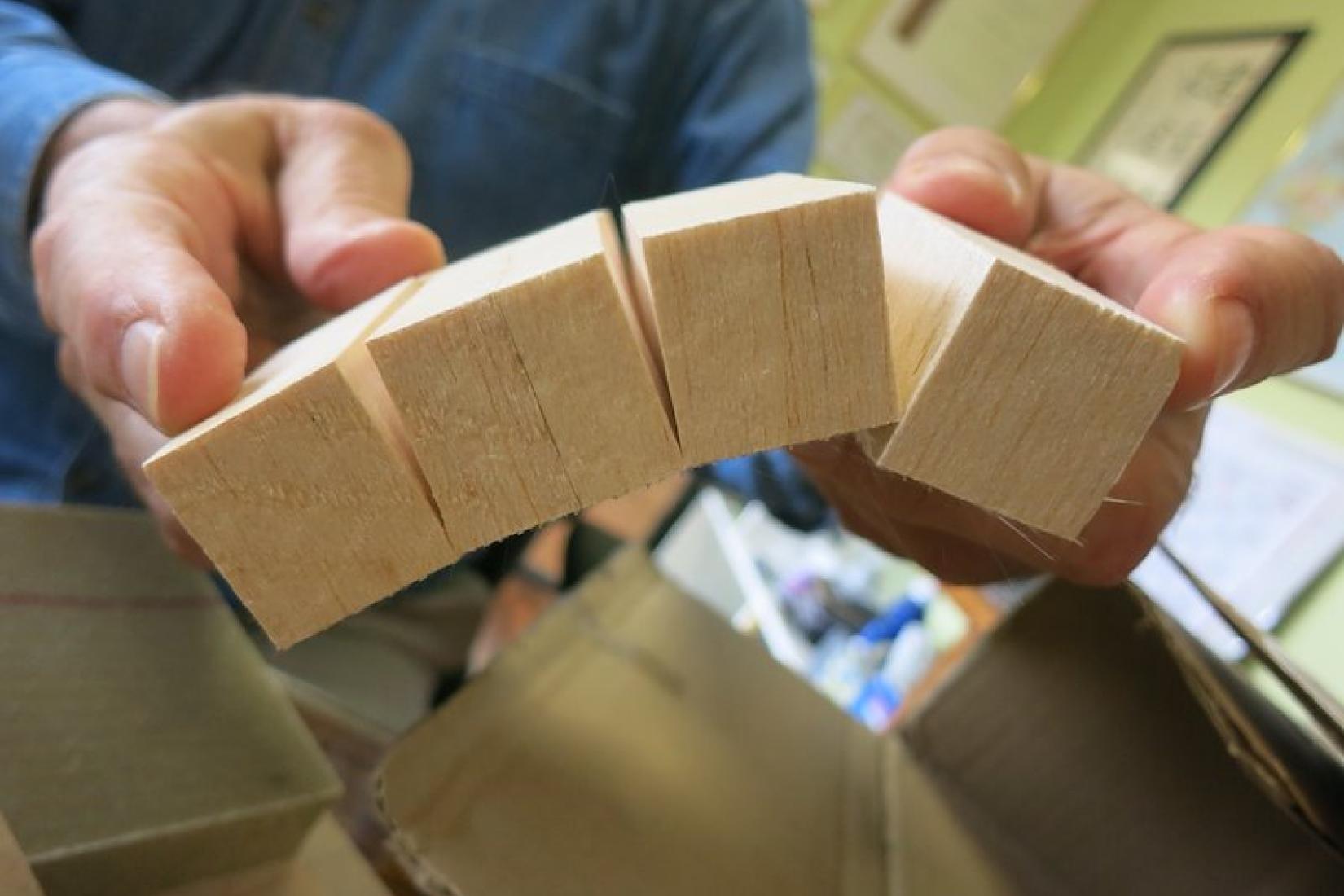 Stephen Midgley with examples of balsa wood.
