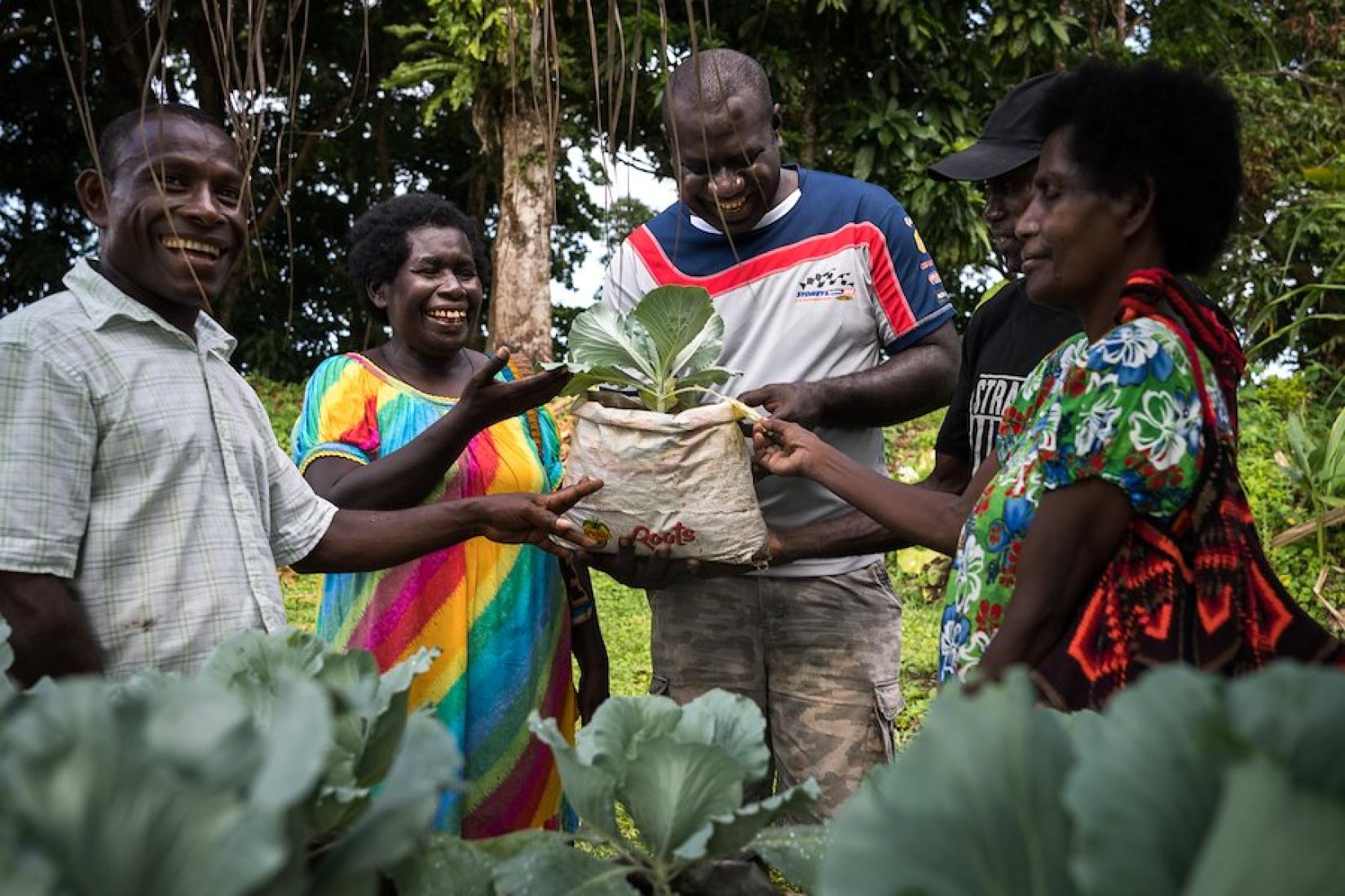 Farmers in PNG who completed the Family Farm Teams training. Image: ACIAR/Conor Ashleigh