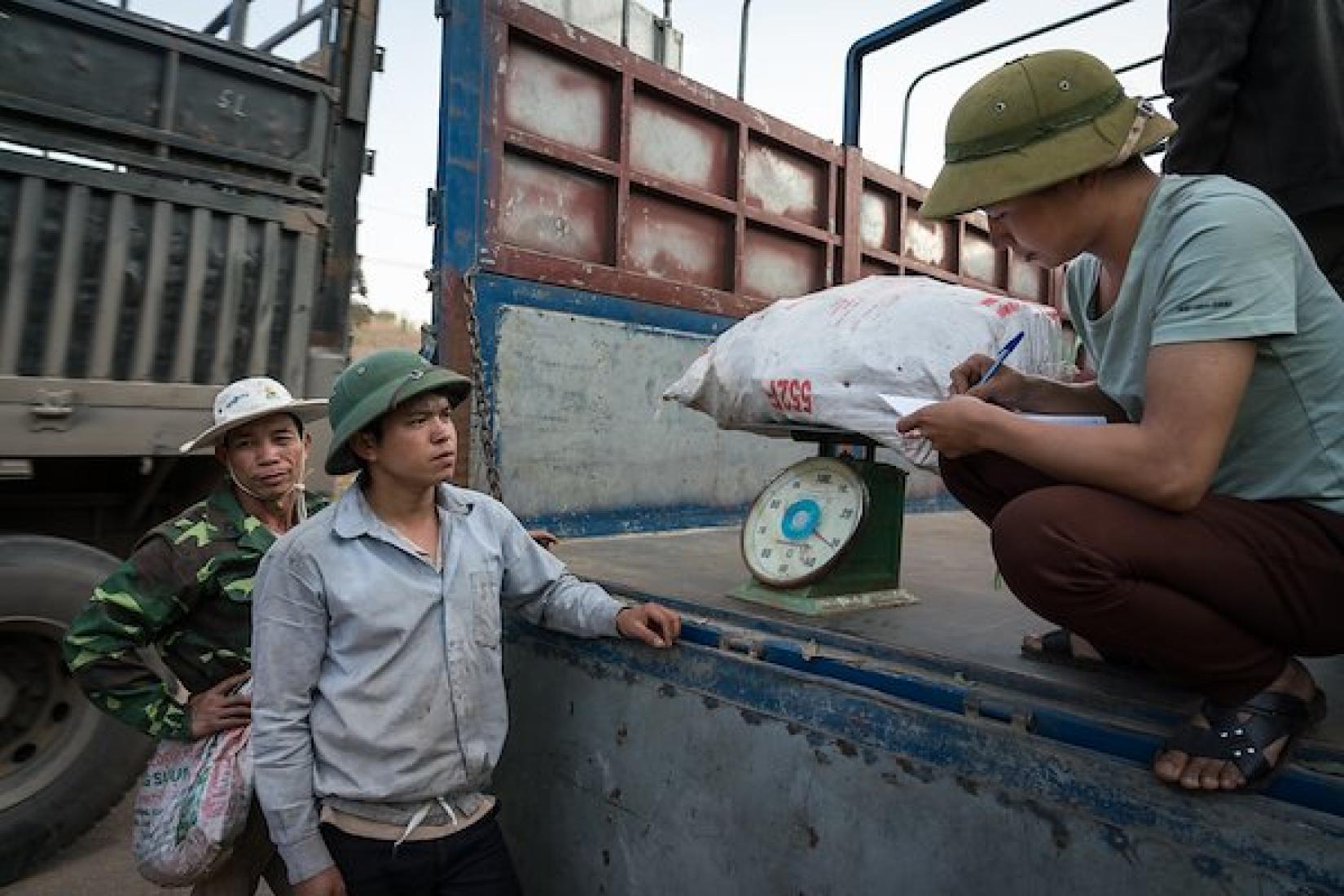 Luong Van Non (left) and his son, Luong Van Nguyen (middle), having their produce weighed before selling to international markets