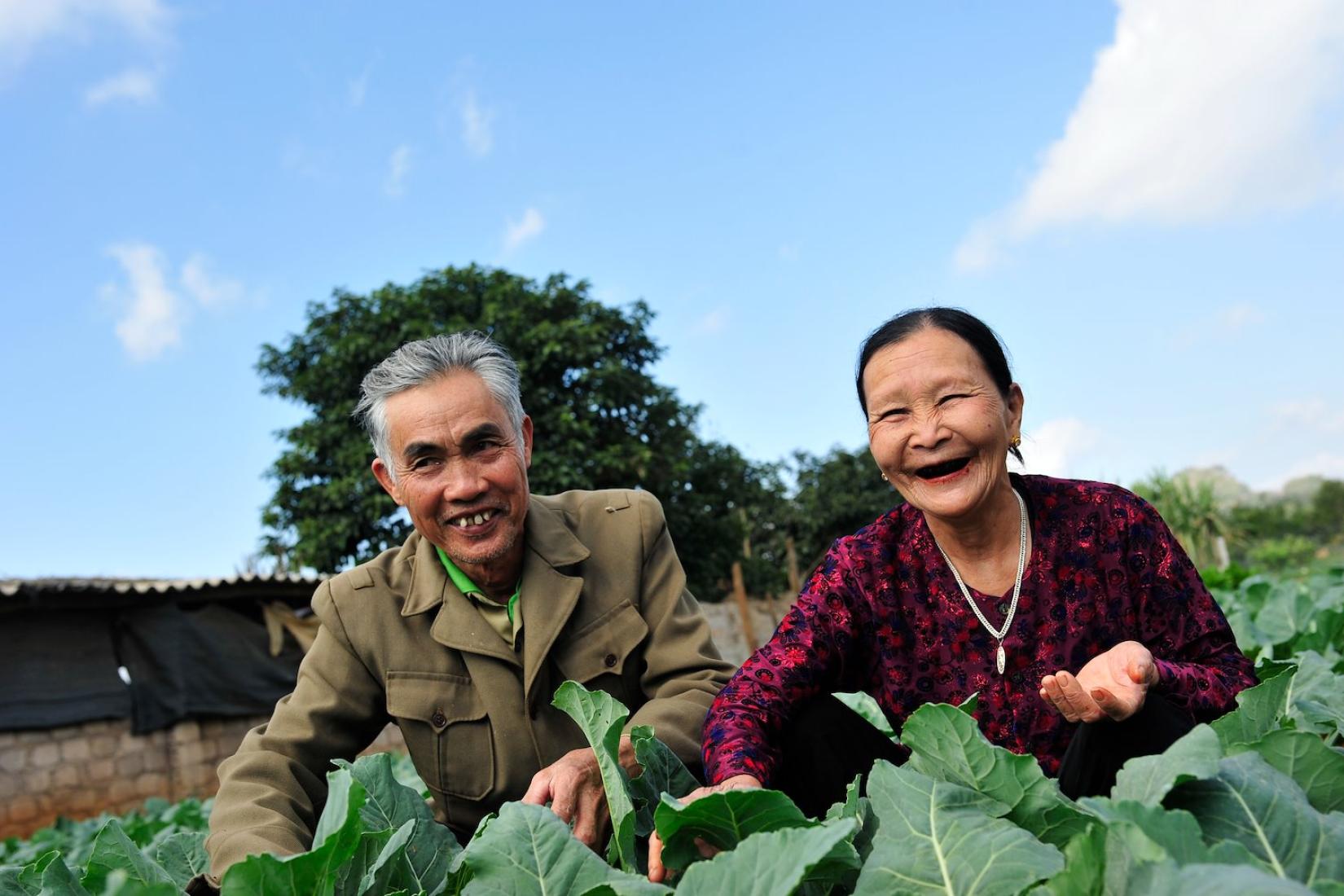 Man and women among a leafy crop