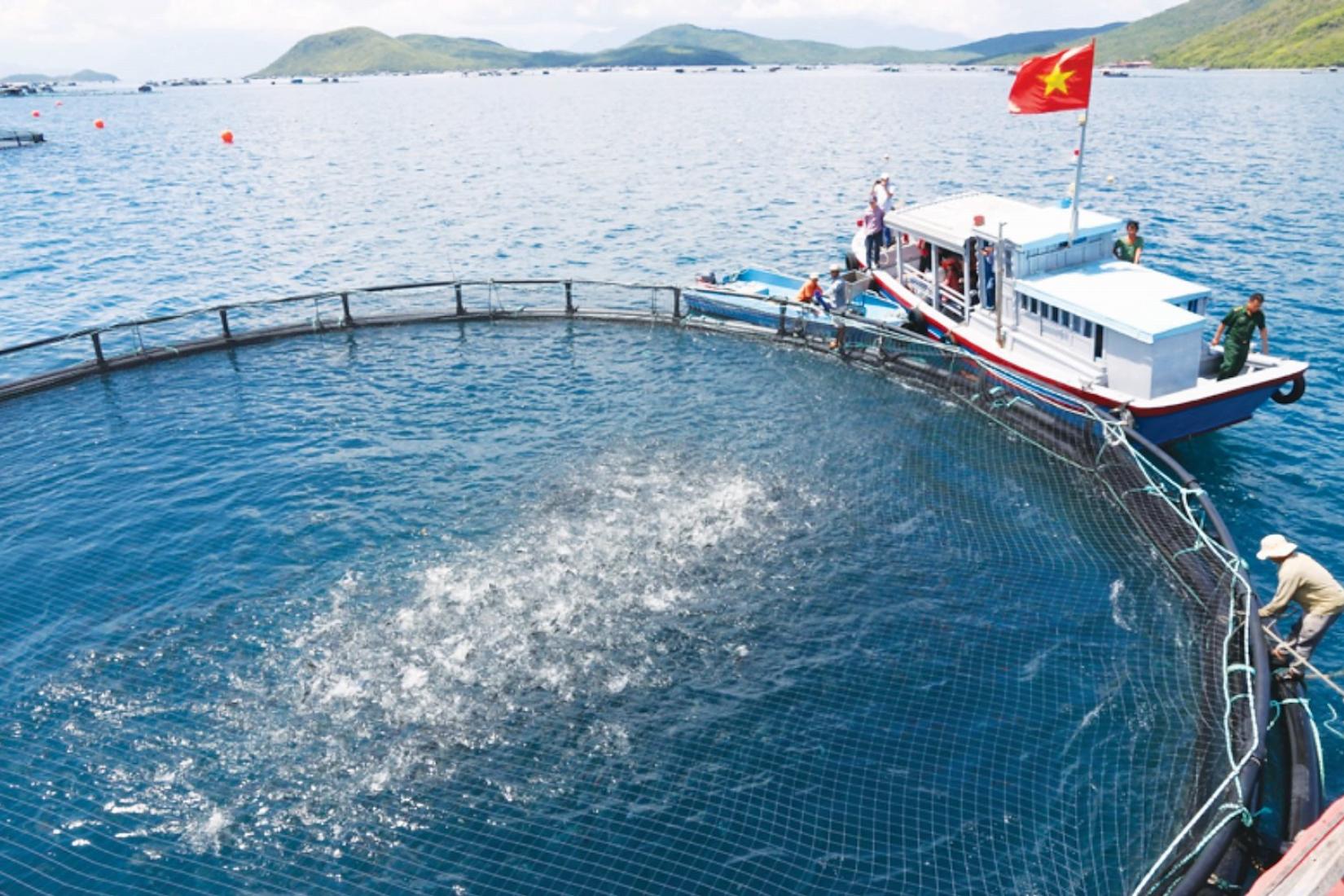 Large fishing net containing fish with boat nearby