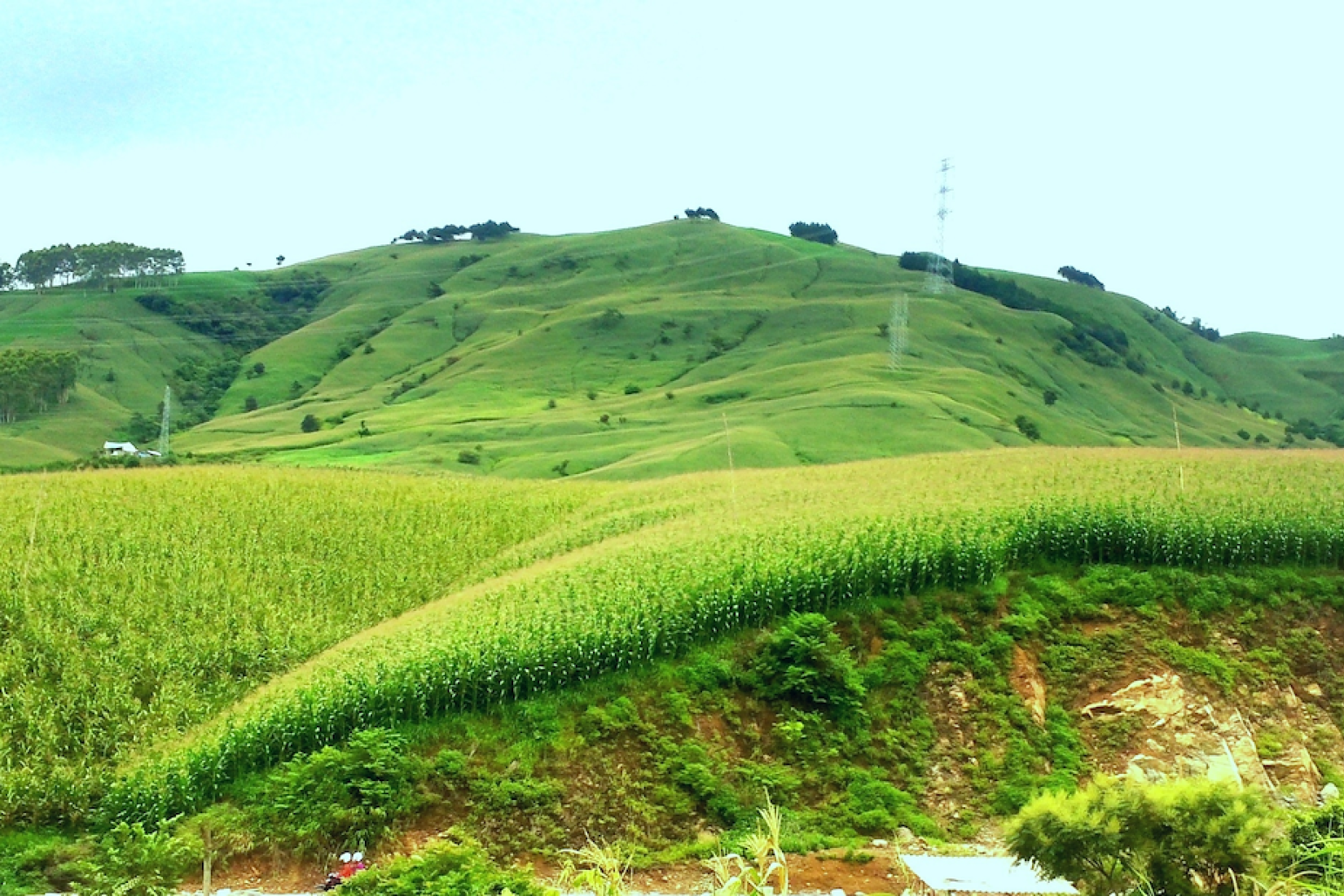 Verdant hills