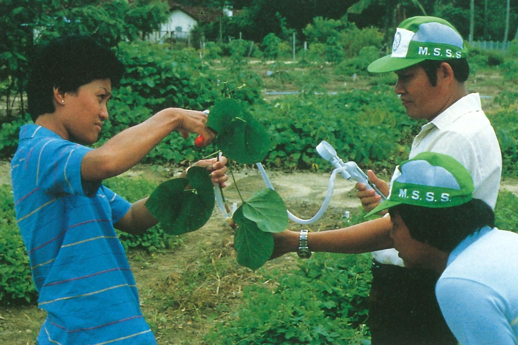 3 researchers performing test on a plant in a field
