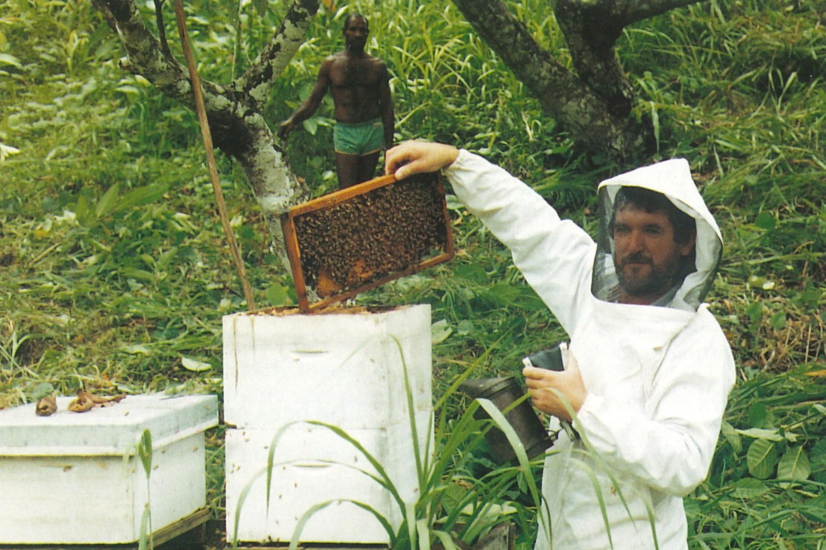 Man in beehive suit holding up board of honey over beehive