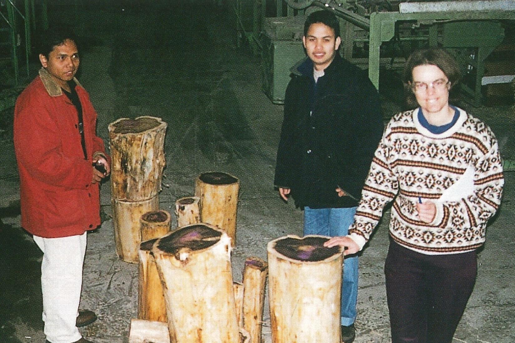 3 people standing next to timber samples