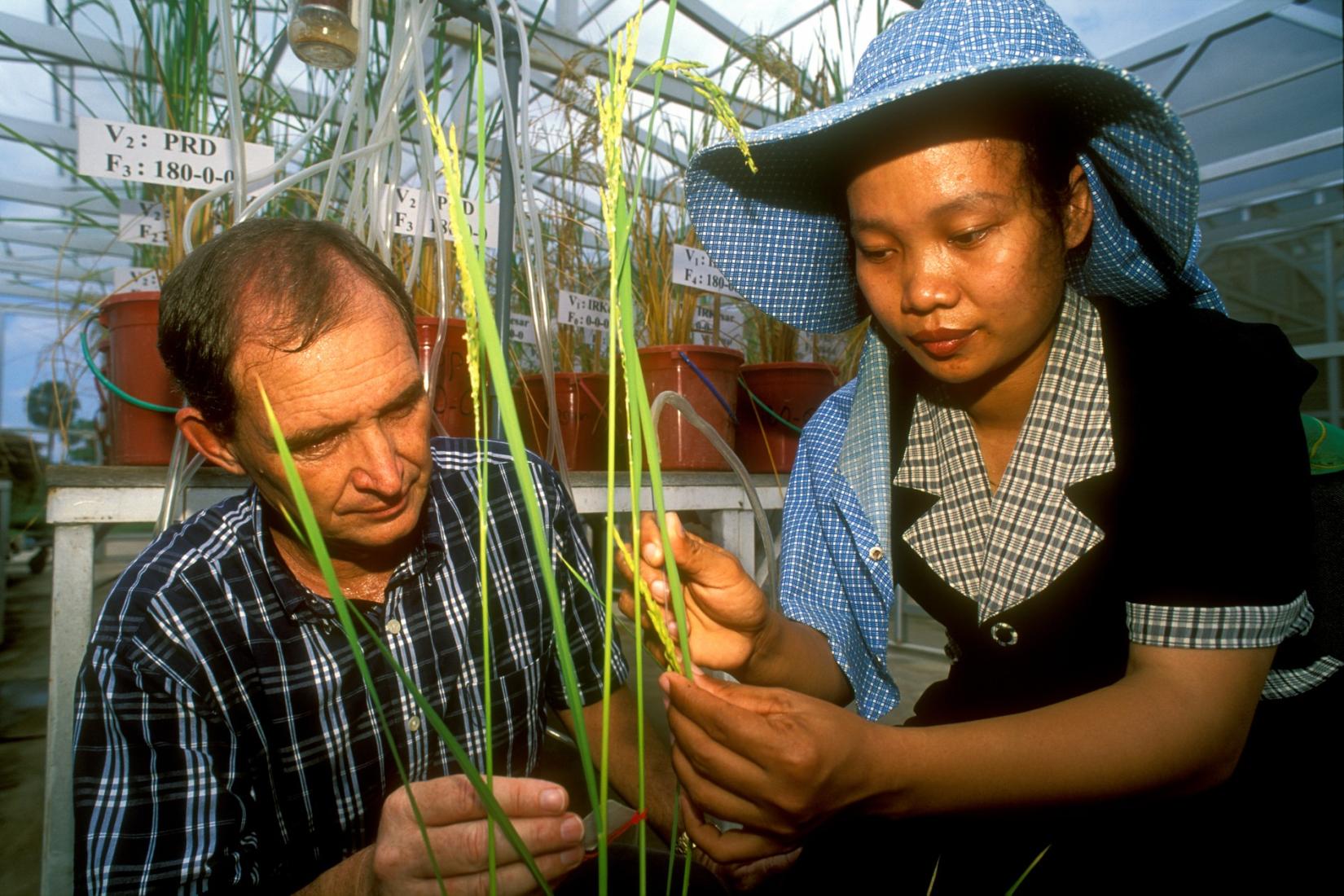Two researchers inspecting plant