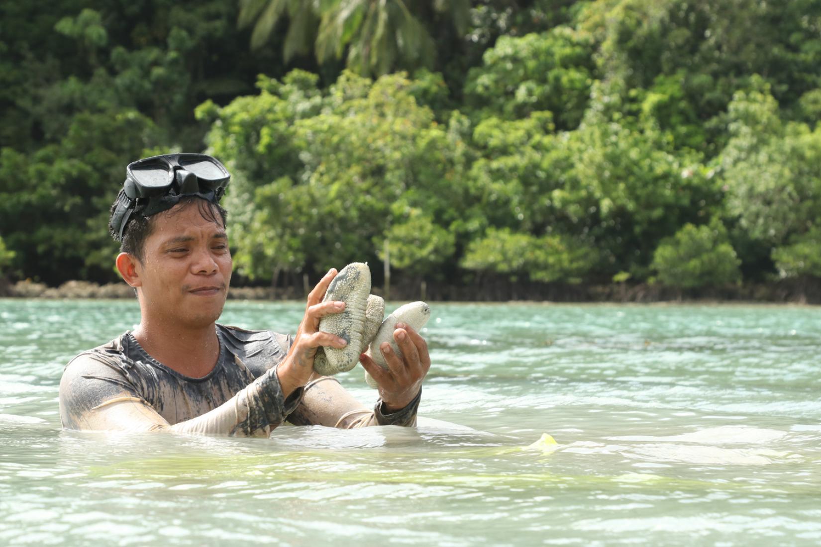 Roberto Gonzales Jr, a sandfish ranch co-manager in Buyayawon, Mercedes, Eastern Samar, inspects a sandfish.