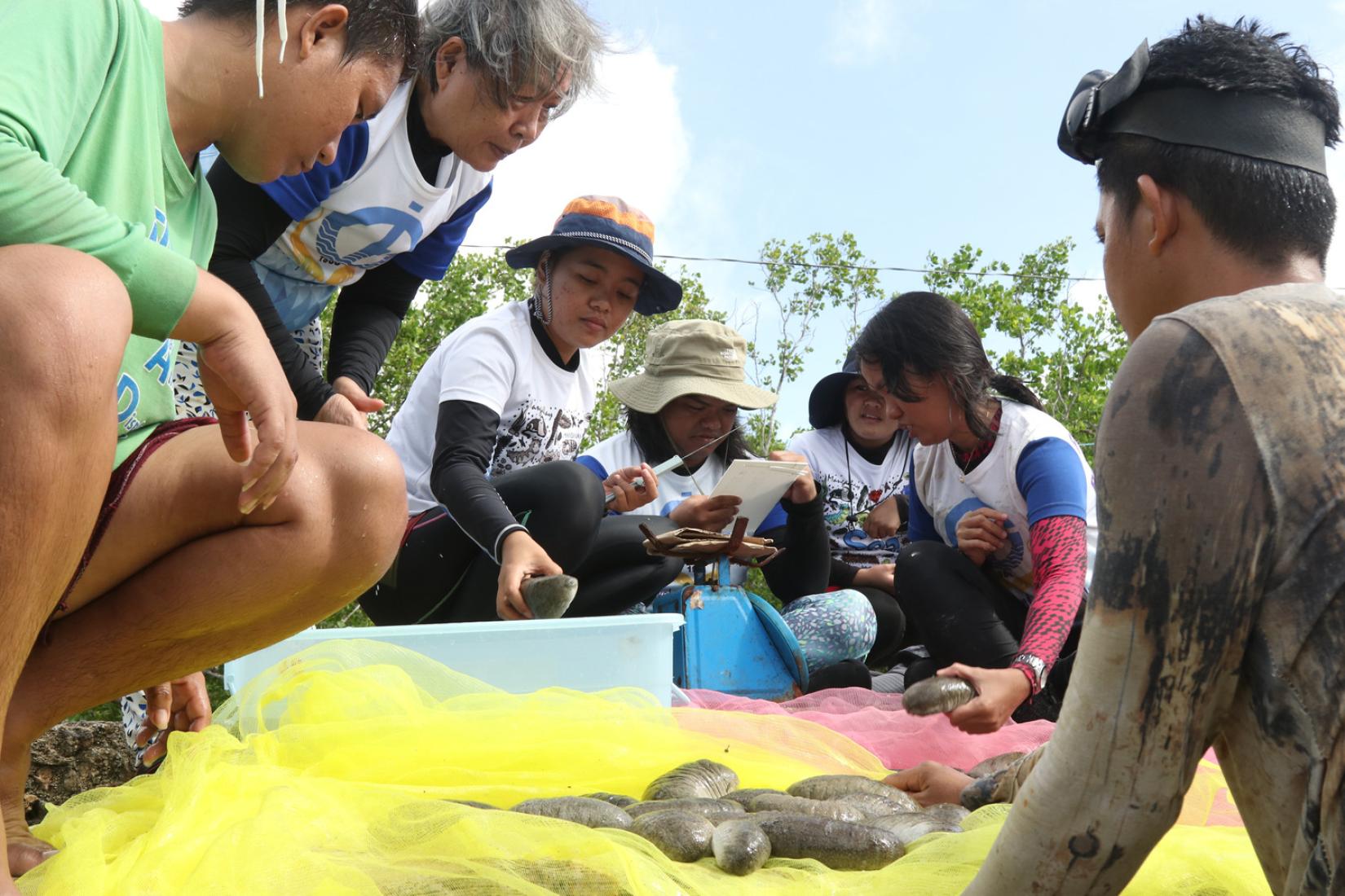 Guiuan Development Foundation, Inc staff inspecting harvested sandfish in Guiuan Eastern Samar. 