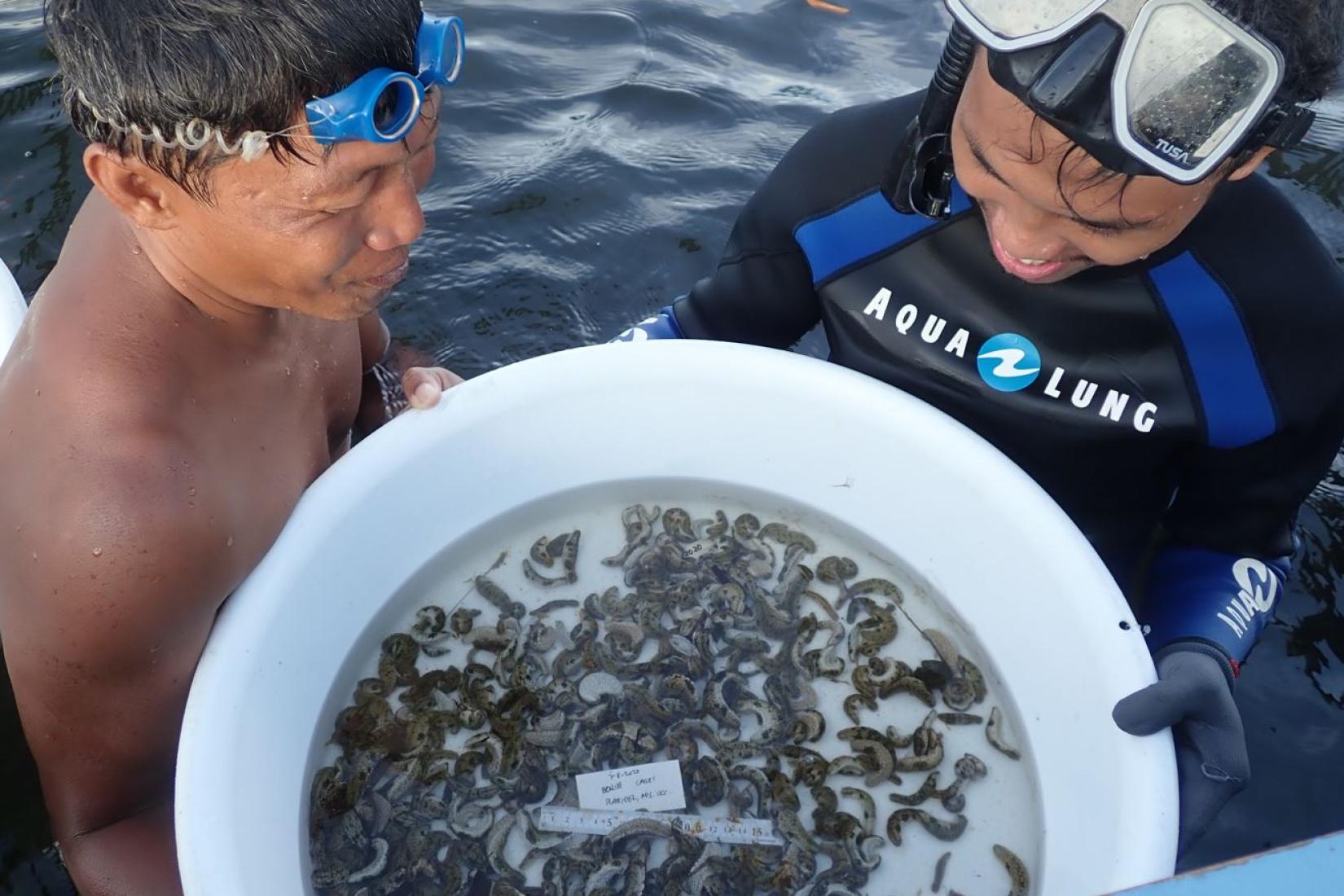 Community members with their sea cucumber harvest from a sea ranch in Plaridel, Misamis Occidental. Image: Mindanao State University at Naawan