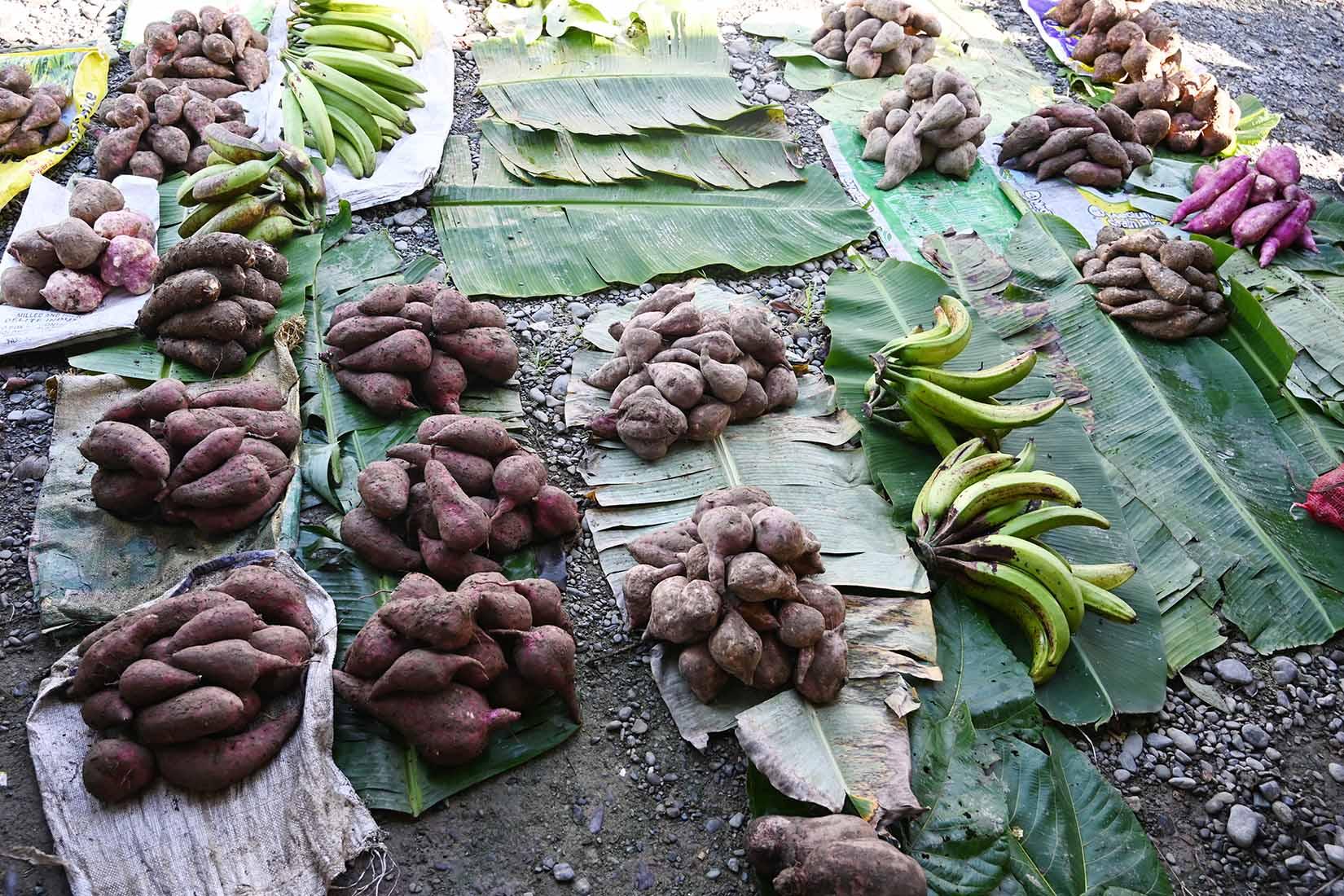 A range of vegetables and fruit laid out on in piles on the ground