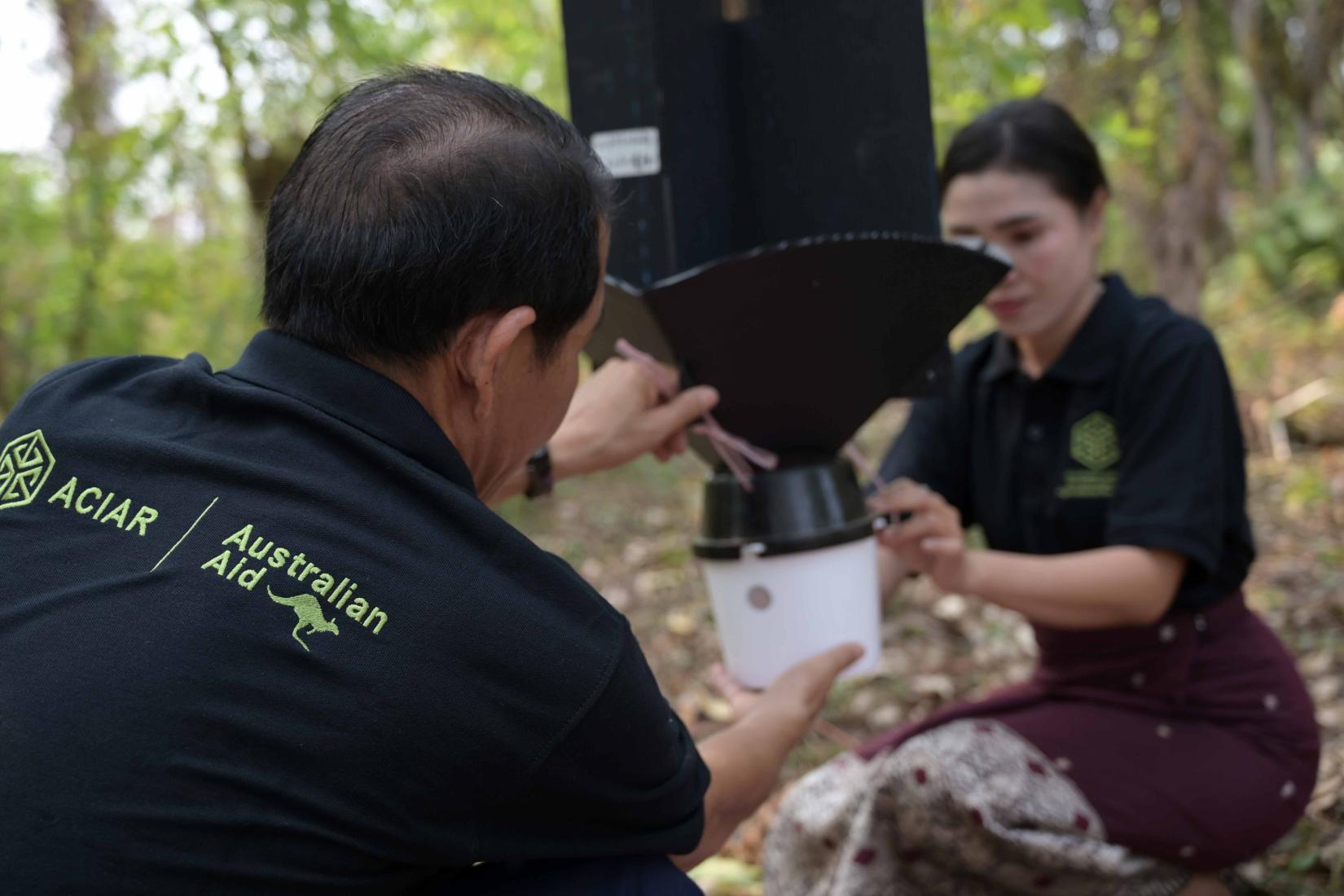 A research team in Laos conducts the same pest-trapping procedure as Cambodia in a forest near Vientiane, the capital city of Lao PDR.