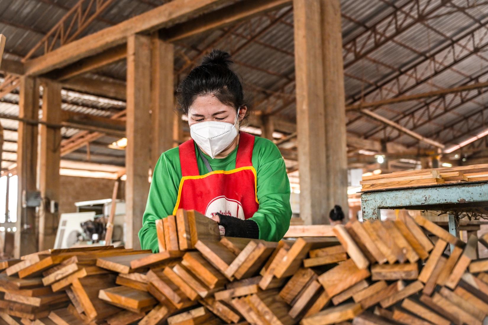 A worker at Burapha sorting cut wood