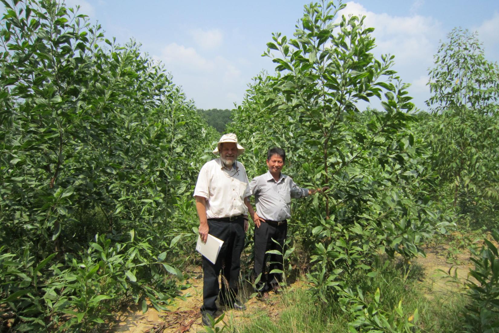 Two men smiling and standing amongst young trees