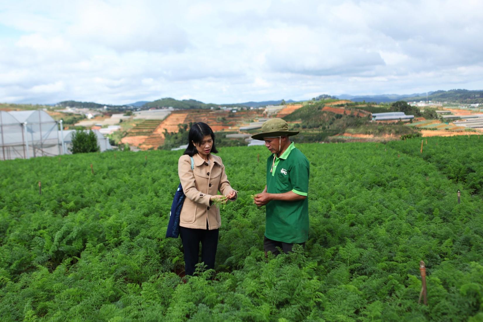 A man and women inspecting crops in a crop field