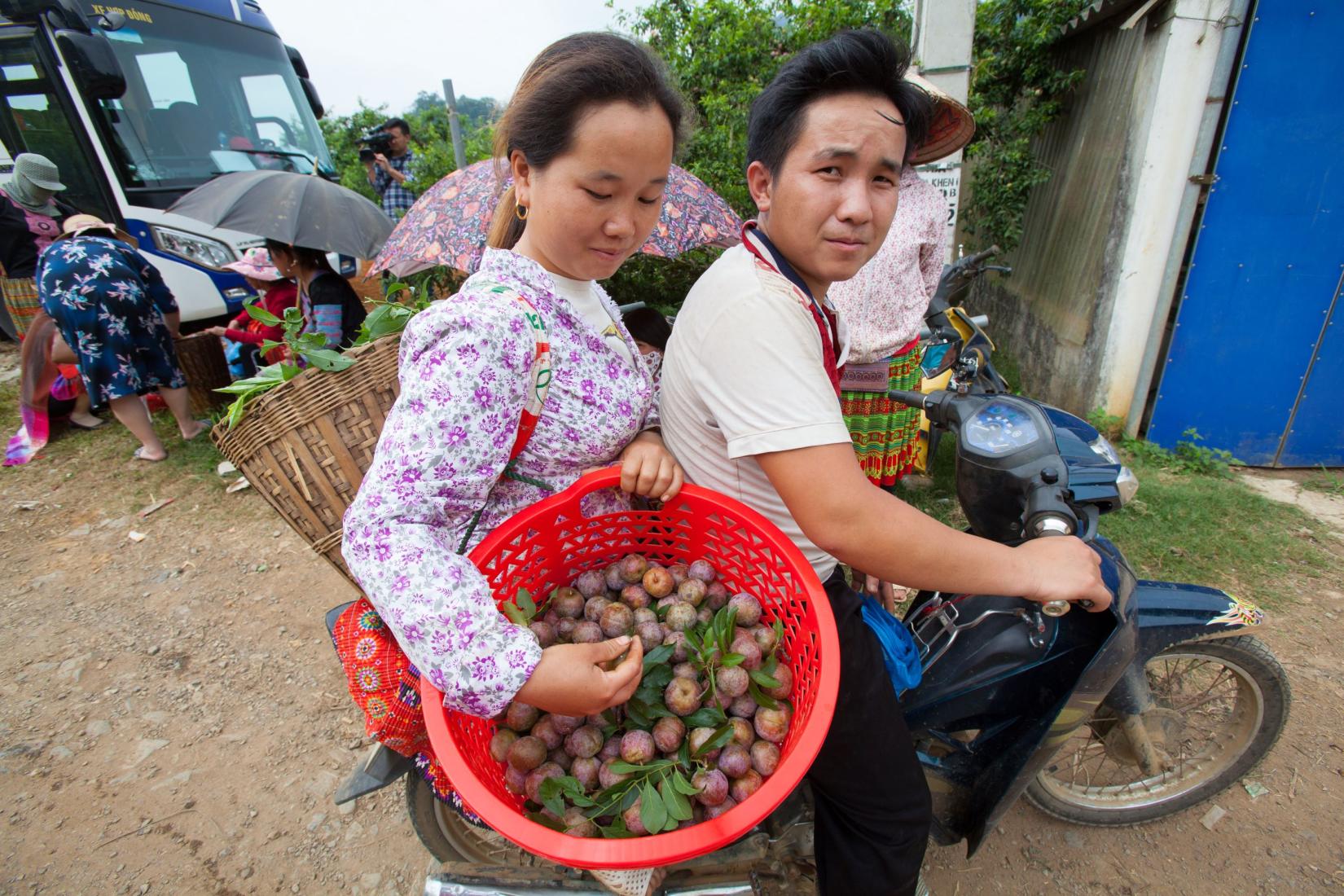 A man and woman sitting on a motorbike with a red basket of plums