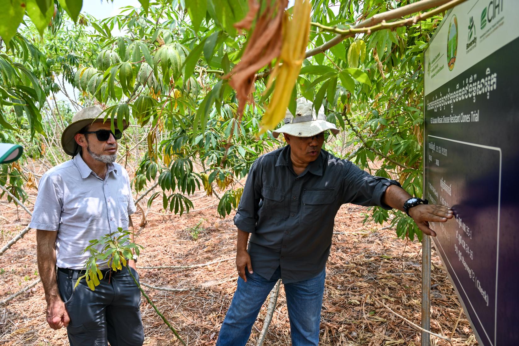 Two men looking at a sign with one pointing at the sign in a field