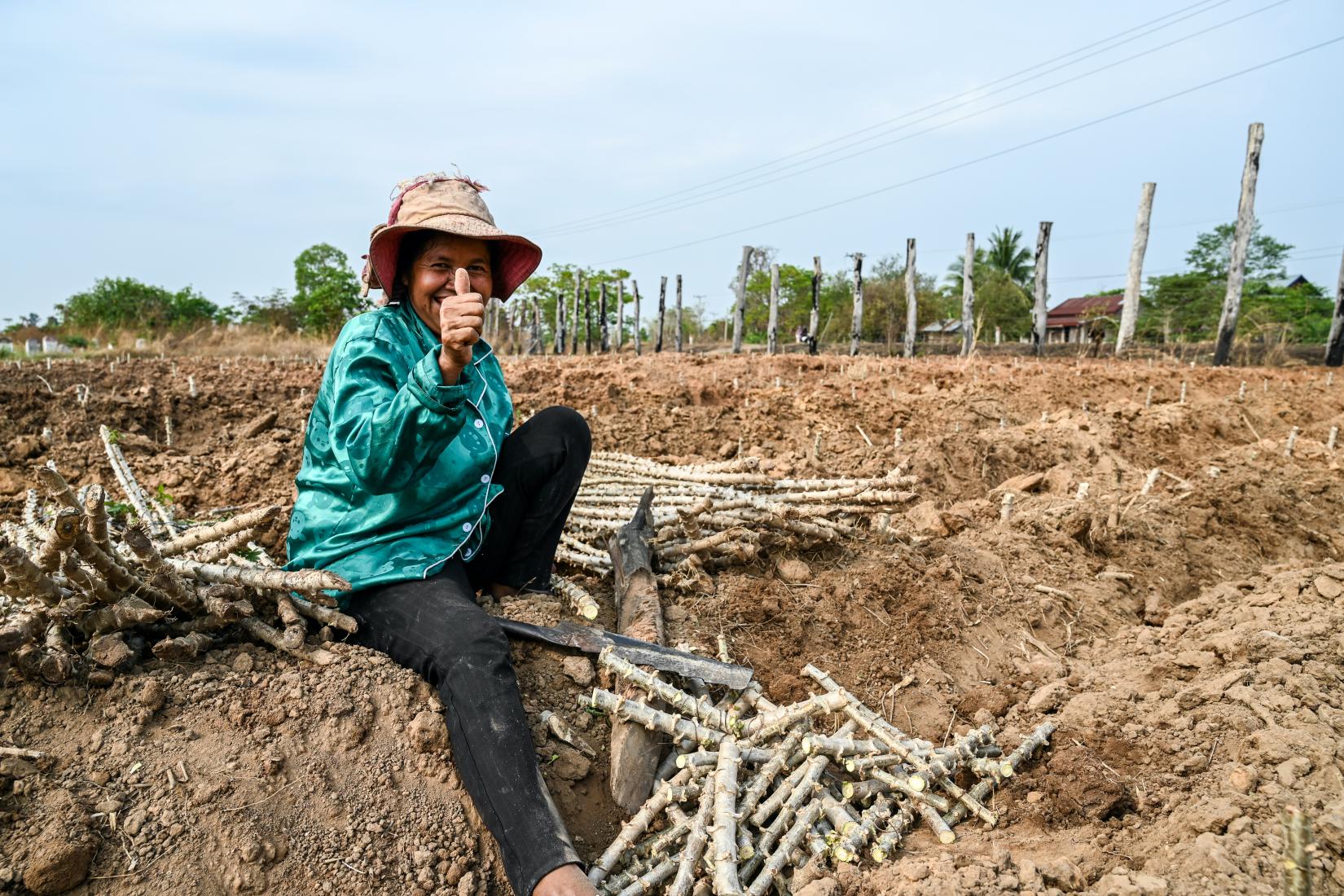 Woman smiling giving thumbs up sign sitting on crop of cassava in field