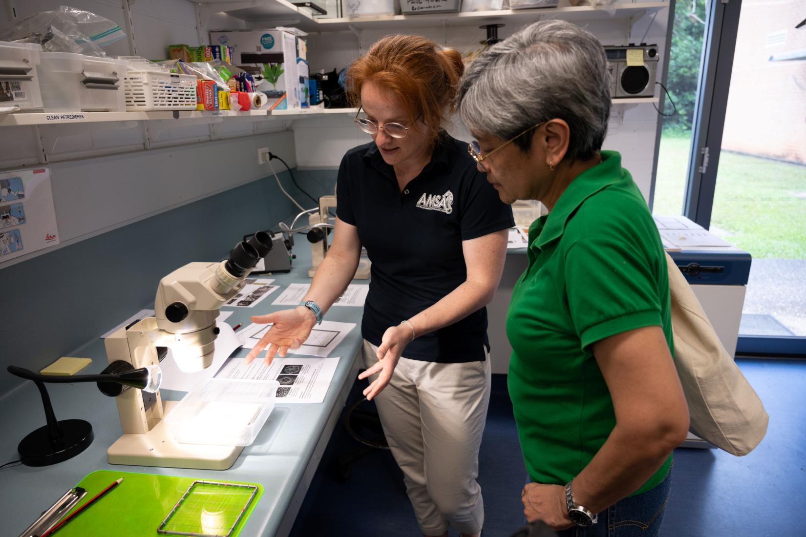 Researchers discussing samples sitting under a microscope in lab