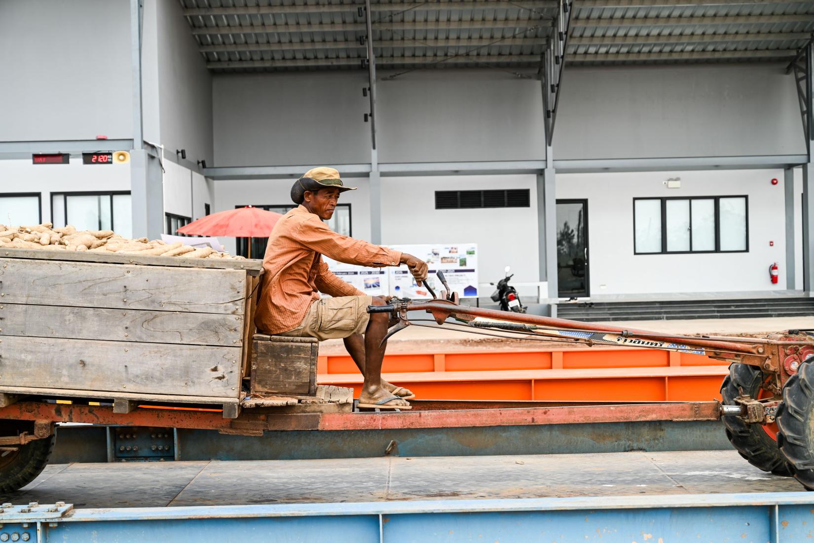 A farmer transporting a card of cassava