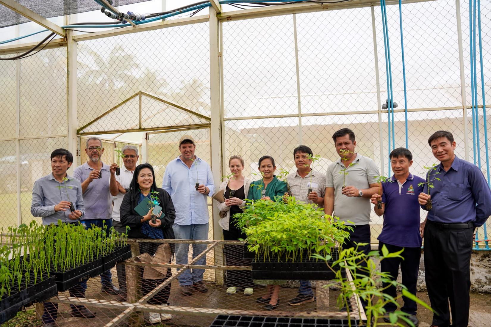 A group of people in greenhouse standing in front of cassava seedlings. 
