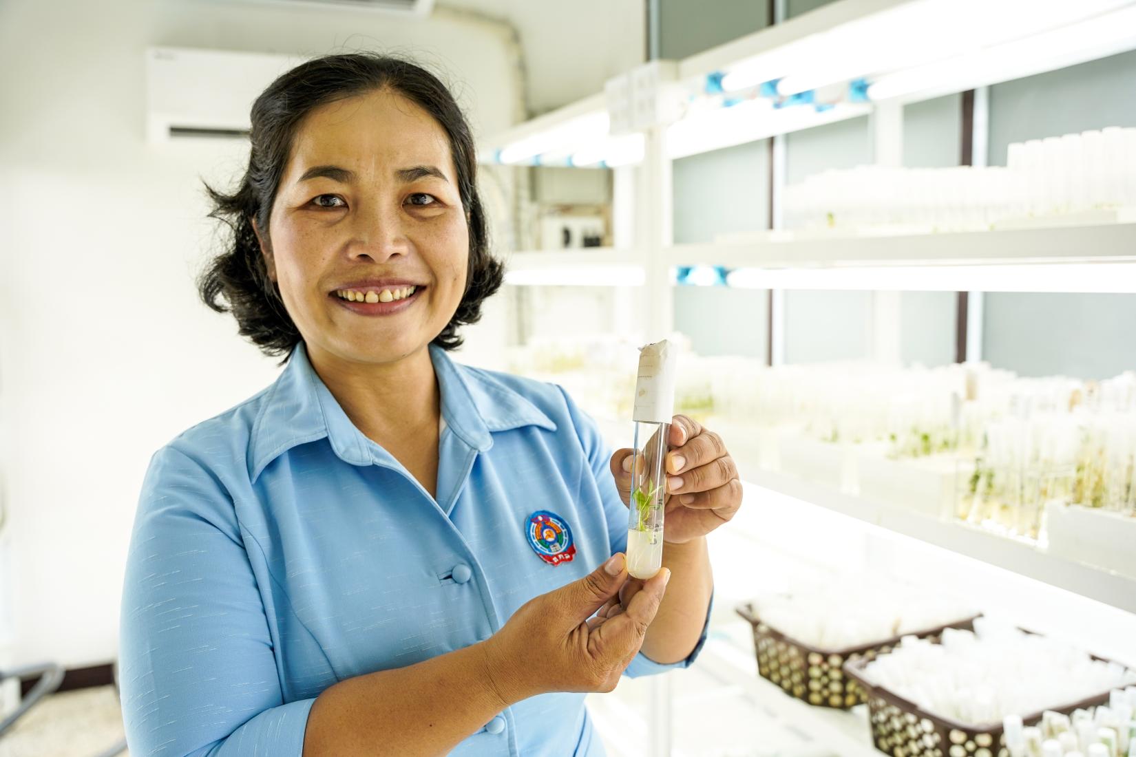 Woman in laboratory holding a test tube with plantlet