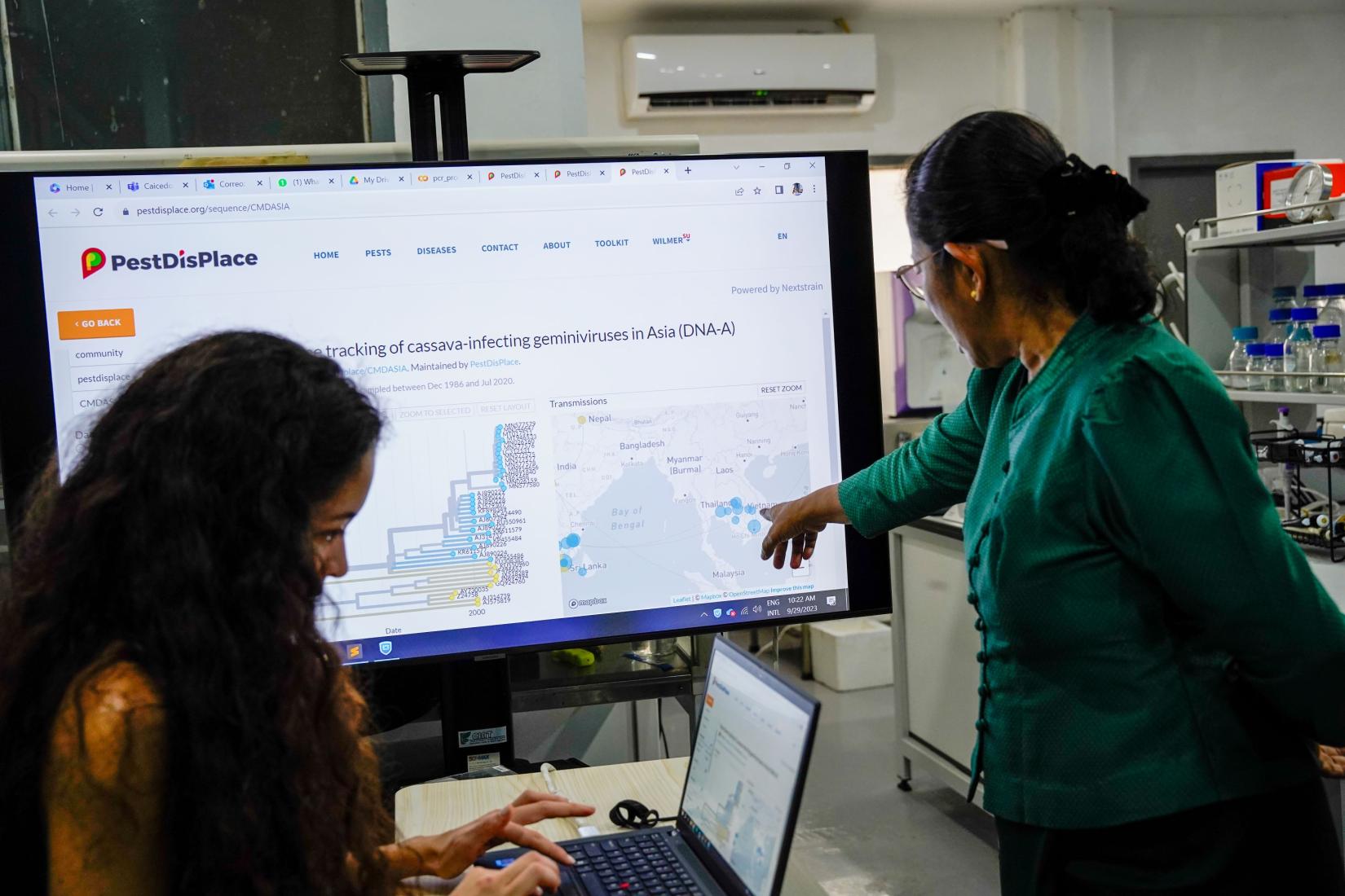 Women pointing at a large screen while another woman works on laptop in office