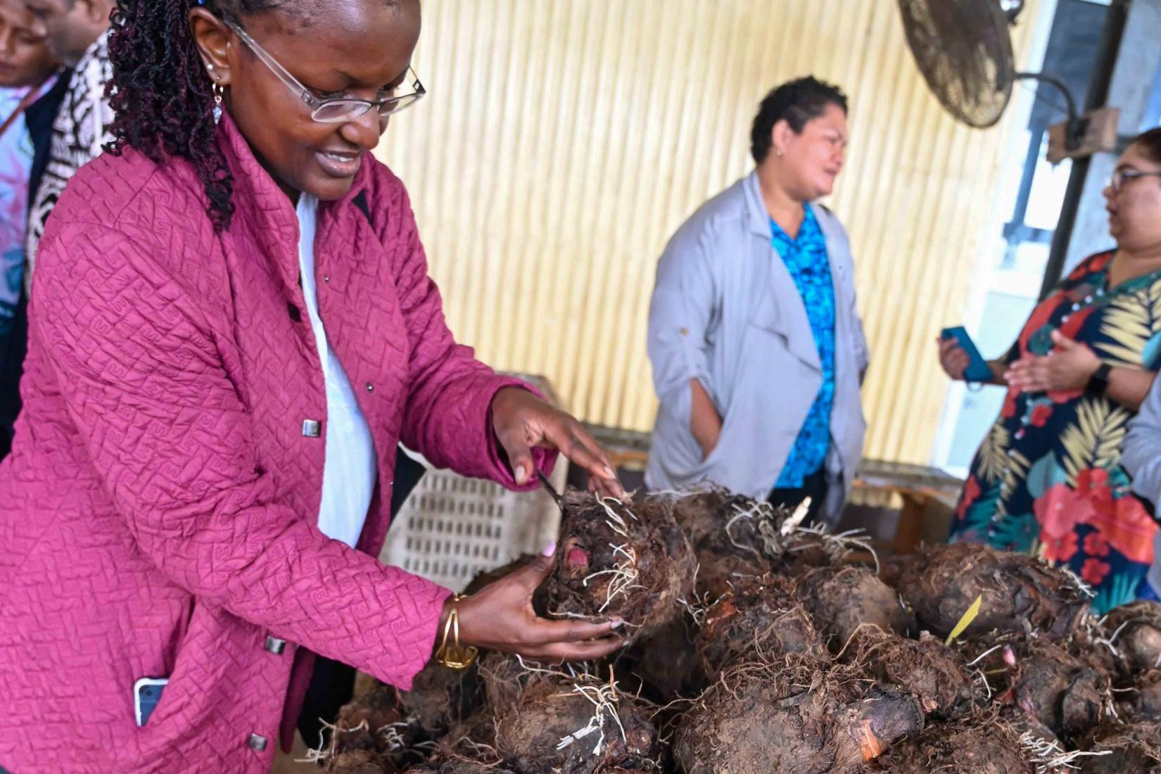 Roseanne Mwangi inspecting food waste during the delegation's tour in the Pacific.