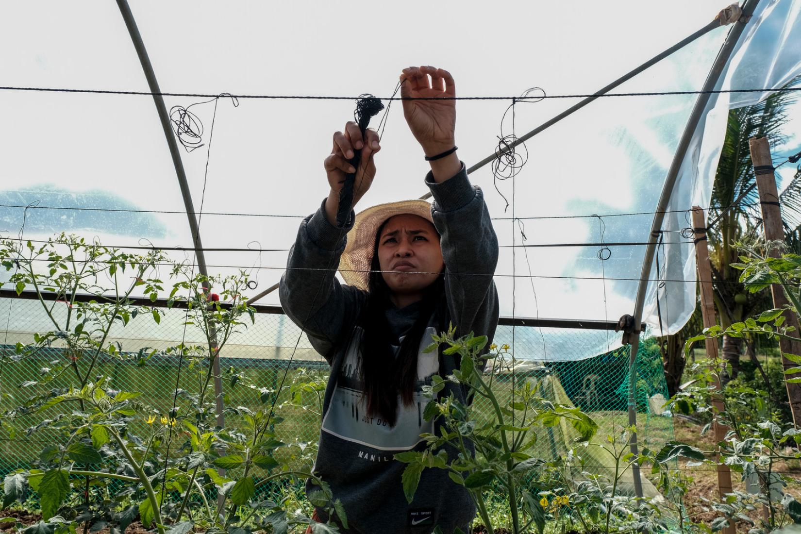 Students from Visayas State University work on their experimental crops at a farm in Cabintan Livelihood Community Association (CALCOA) in Brgy Cabintan, Ormoc City.
