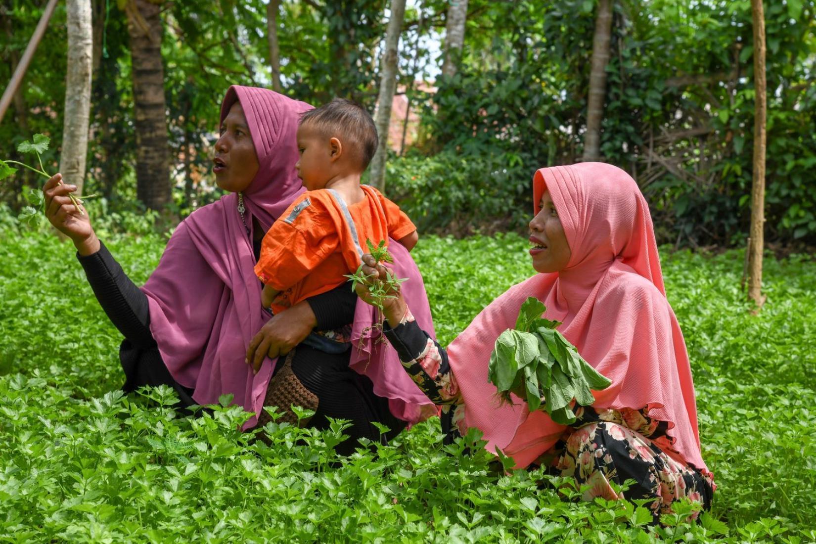 Two women with a child in a thriving field