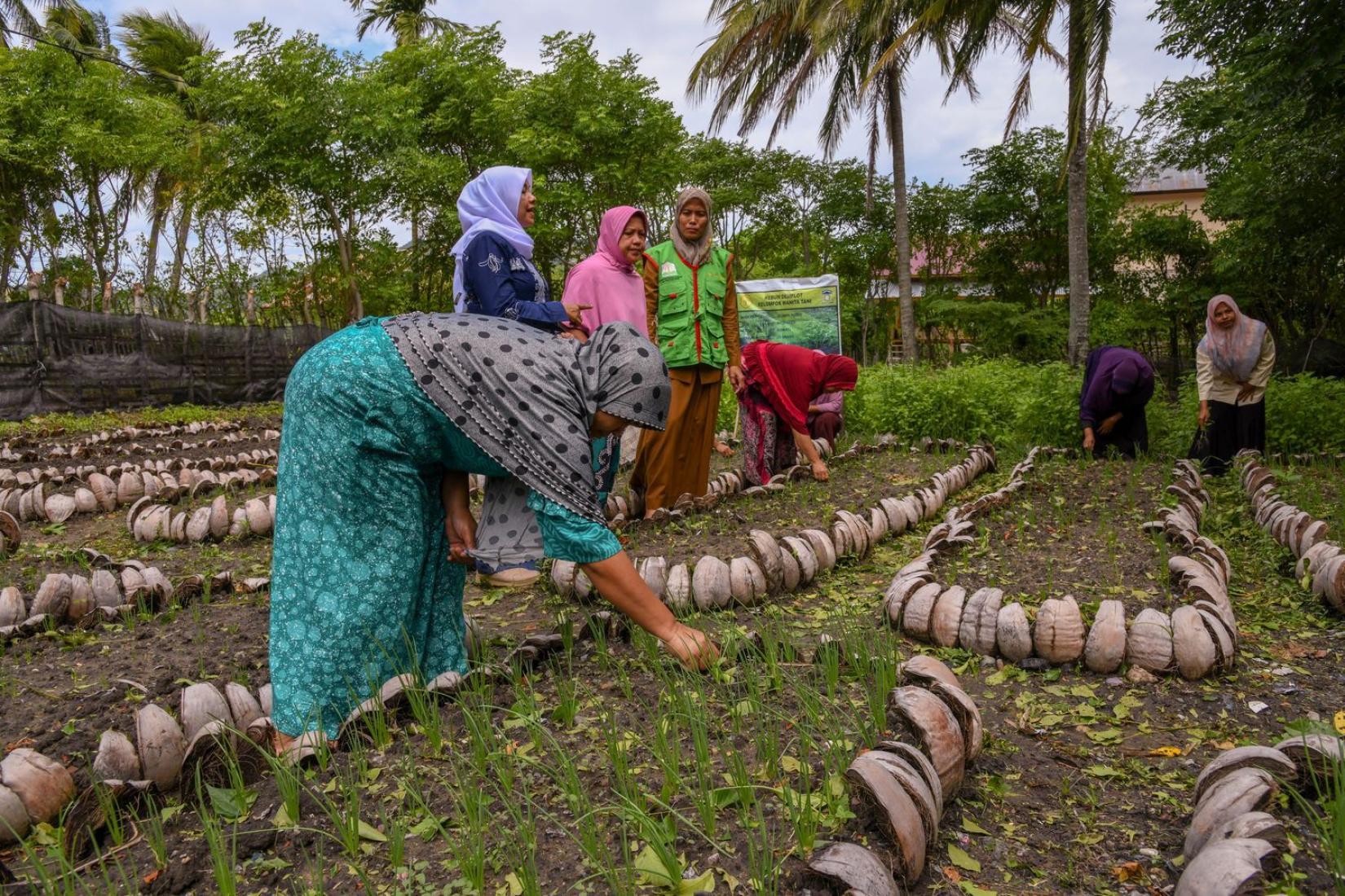A group of women working in garden beds
