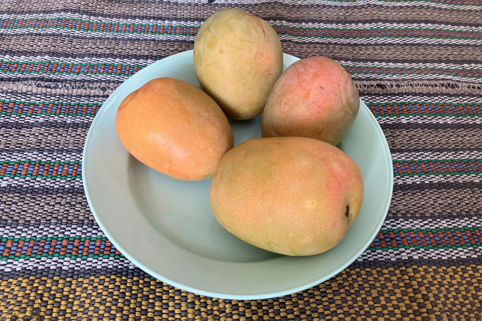 Gedong gincu mangoes