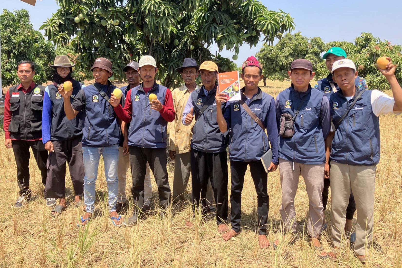 Mango farmers